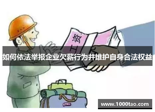 如何依法举报企业欠薪行为并维护自身合法权益