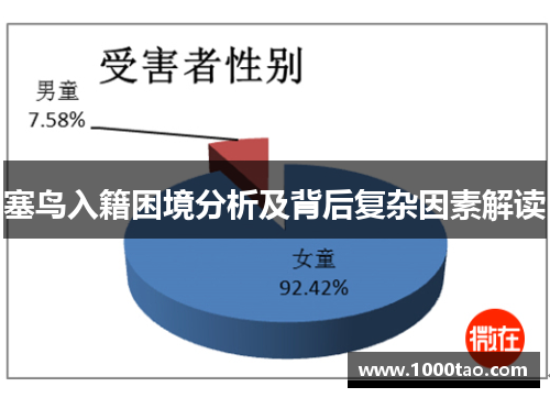 塞鸟入籍困境分析及背后复杂因素解读
