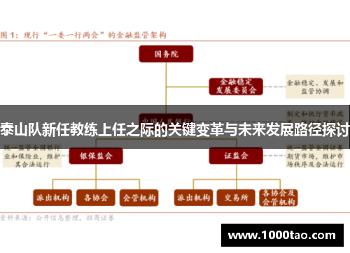 泰山队新任教练上任之际的关键变革与未来发展路径探讨