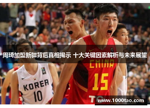周琦加盟新疆背后真相揭示 十大关键因素解析与未来展望